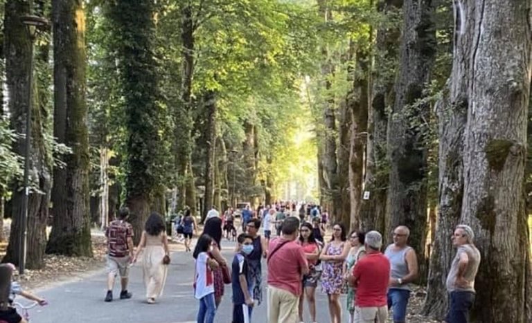 Serra San Bruno, il viale della Certosa torna ad essere pedonale