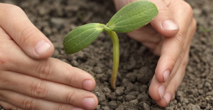 Serra, seminario internazionale su gestione e conservazione della biodiversità