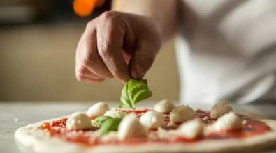 Pizza bit competition, Tropea regala i primi tre finalisti