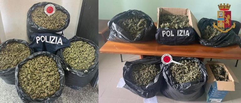 Controlli e perquisizioni nelle Serre: sequestrati quasi 70 chili di marijuana
