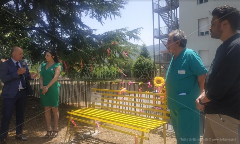 Inaugurata a Serra San Bruno la panchina gialla per sensibilizzare sull’endometriosi -Video