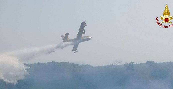Gli incendi colpiscono il Vibonese: in volo due Canadair per domare le fiamme – Video