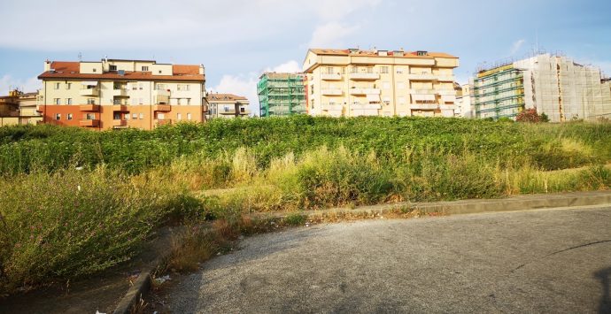 Vibo sprofonda nel degrado, l’affondo di Lo Gatto alla giunta di…“alto profilo”