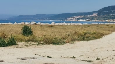 Spiaggia di Bivona invasa dalle sterpaglie, Fusca (Azione): «Zona costiera abbandonata»