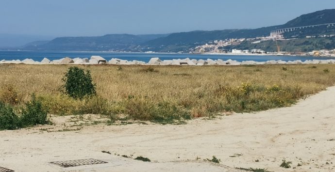 Spiaggia di Bivona invasa dalle sterpaglie, Fusca (Azione): «Zona costiera abbandonata»