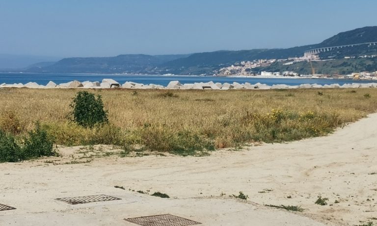 Sterpaglie sulla spiaggia di Bivona, Patania (Confasila): «A farne le spese solo cittadini e turisti»