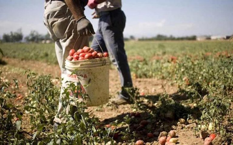 Sfruttavano lavoratori nel Catanzarese, eseguite 13 misure cautelari