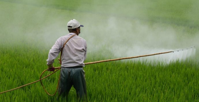 Il Consorzio di Bonifica Tirreno Vibonese in campo per la tutela dei produttori