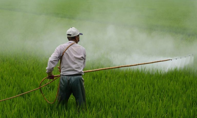 Agricoltura, il patentino fito-sanitario al centro di un incontro alla biblioteca di Filadelfia