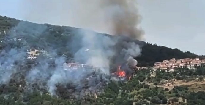 Incendio a Limbadi, le fiamme lambiscono la frazione Motta Filocastro – Video