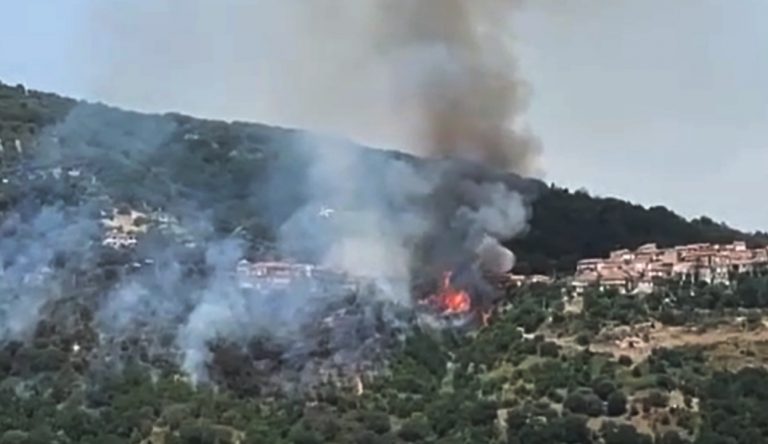 Incendio a Limbadi, le fiamme lambiscono la frazione Motta Filocastro – Video