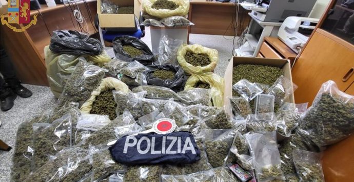 Droga: polizia ritrova 51 chili di marijuana, un arresto a Serra San Bruno