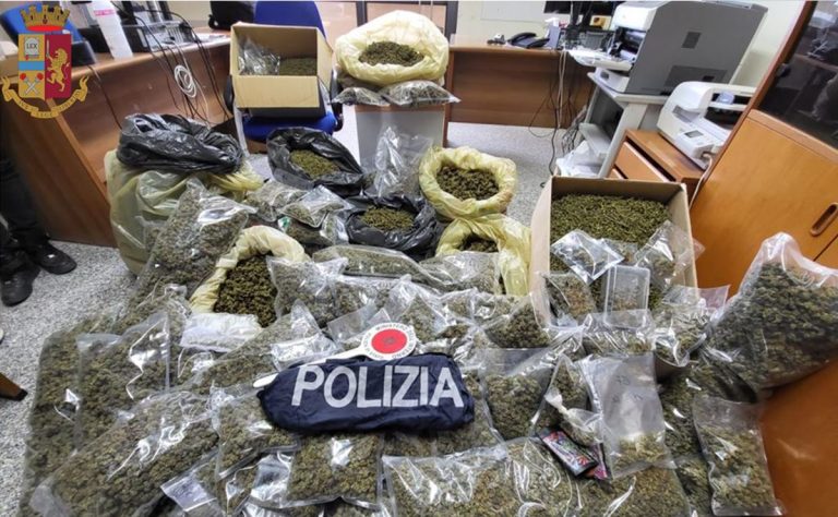 Droga: polizia ritrova 51 chili di marijuana, un arresto a Serra San Bruno