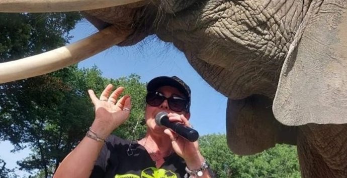 Domatrice aggredita, chiuso il Safari Park di Maida: aperta dai carabinieri un’indagine