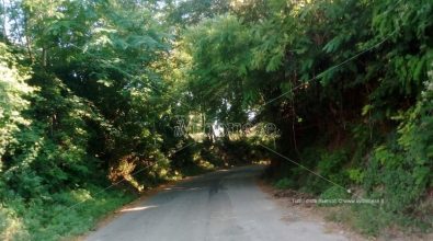 Mileto-Dinami, automobilisti fanno i conti con il degrado della strada provinciale