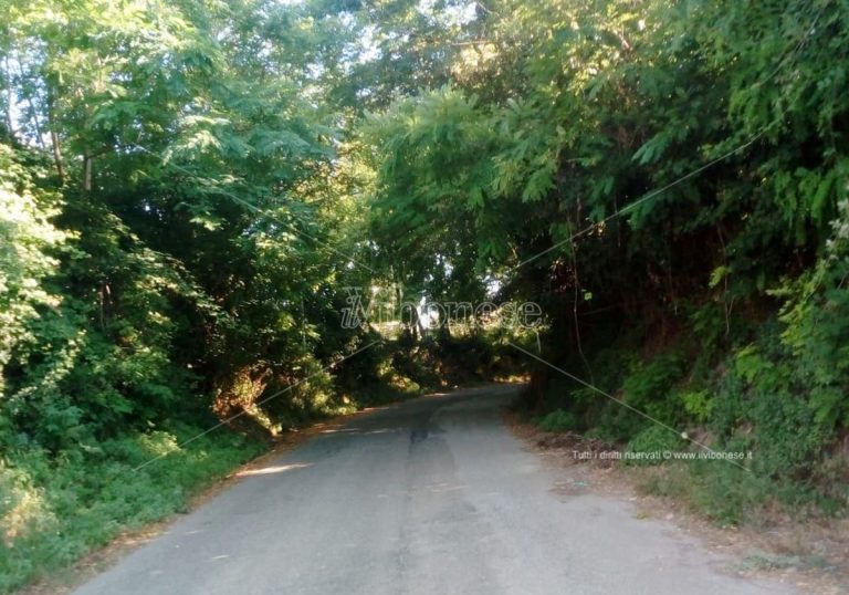 Mileto-Dinami, automobilisti fanno i conti con il degrado della strada provinciale