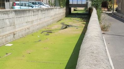 Vibo Marina, Russo perentorio con il M5S: «Il torrente Antonucci? Problema affrontato subito»