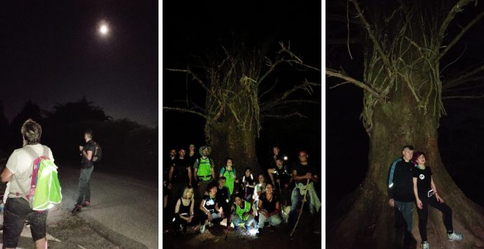 L’albero delle fate, a Serra un’escursione notturna per raggiungere l’abete secolare