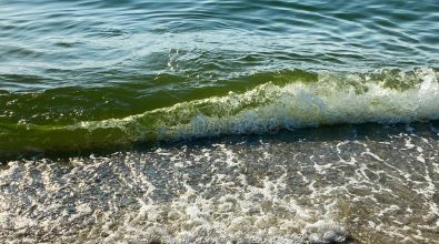 Colorazioni anomale del mare, Paolillo: «Colpa delle alghe causate dall’inquinamento» – Video