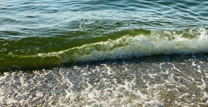 Colorazioni anomale del mare, Paolillo: «Colpa delle alghe causate dall’inquinamento» – Video