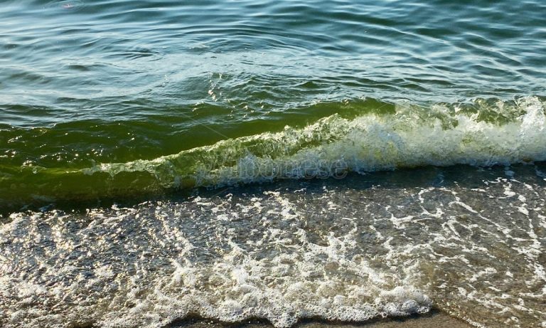 Colorazioni anomale del mare, Paolillo: «Colpa delle alghe causate dall’inquinamento» – Video