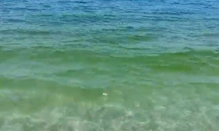 Pizzo, un turista: «Mare di colore giallo che poi nel pomeriggio diventa sporco» – Video