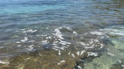 Capo Vaticano: mare sporco a Santa Maria e al Tono, il Pd chiede spiegazioni al sindaco