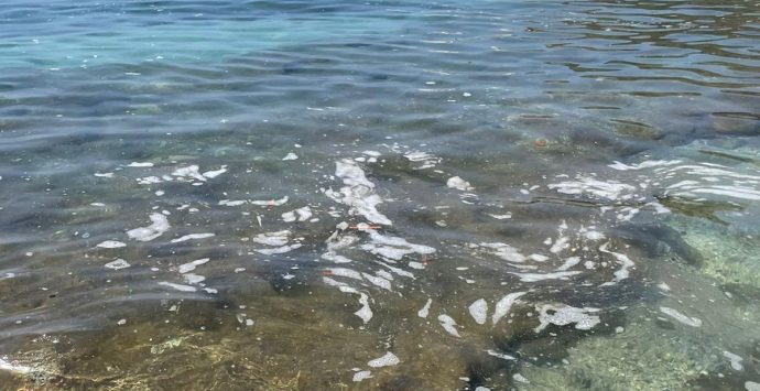 Capo Vaticano: mare sporco a Santa Maria e al Tono, il Pd chiede spiegazioni al sindaco