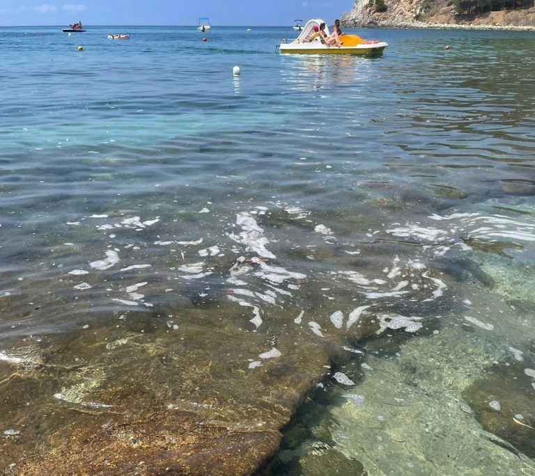 Capo Vaticano: mare sporco a Santa Maria e al Tono, il Pd chiede spiegazioni al sindaco