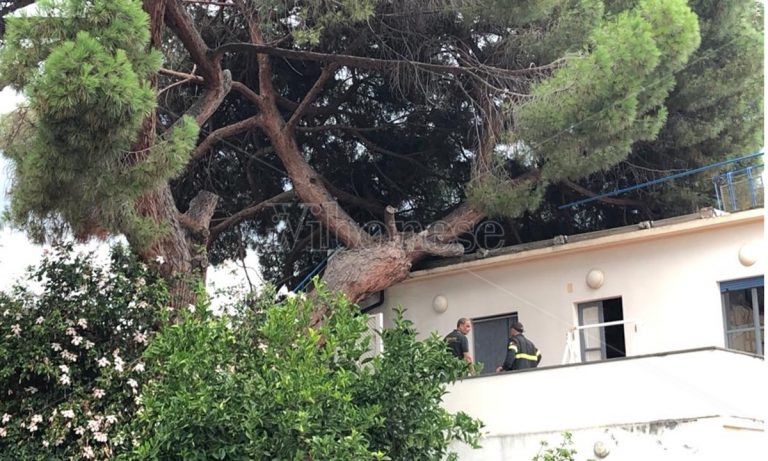 Maltempo, violento nubifragio si abbatte sul Vibonese: strade allagate e alberi divelti – Video