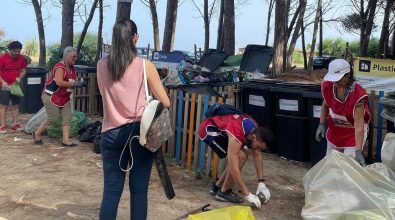 Pizzo, i volontari ripuliscono la pineta di Colamaio I: con loro anche il sindaco Pititto