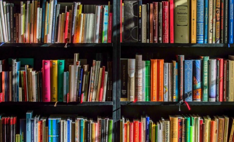 Briatico, una giornata dedicata alle donazioni librarie per realizzare la nuova biblioteca