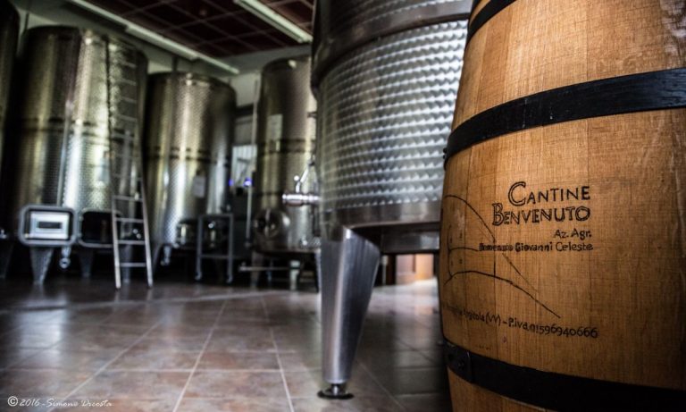 Francavilla, il vino Terra delle Cantine Benvenuto “coronato” dalla rivista del Touring Club
