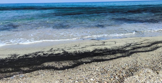 Inquietanti macchie nere in mare a Vibo Marina, il biologo Greco: «Provocate dagli incendi» -Video
