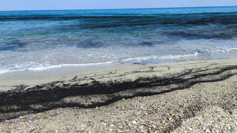 Inquietanti macchie nere in mare a Vibo Marina, il biologo Greco: «Provocate dagli incendi» -Video