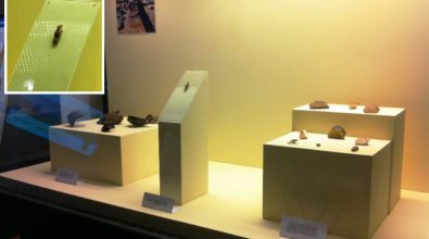 Punta di Zambrone e quell’antica statuina d’avorio giunta da Creta oltre 3500 anni fa