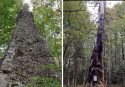 Dall’albero dei tre allampati alle antiche neviere: con Vivi Serra San Bruno nuovo viaggio tra storia e natura