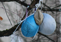 Tropea, il Comune vieta di lanciare palloncini in aria: ordinanza del sindaco