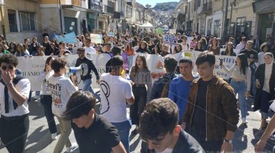 Anche gli studenti di Vibo Valentia in piazza per il Global Strike for Climate