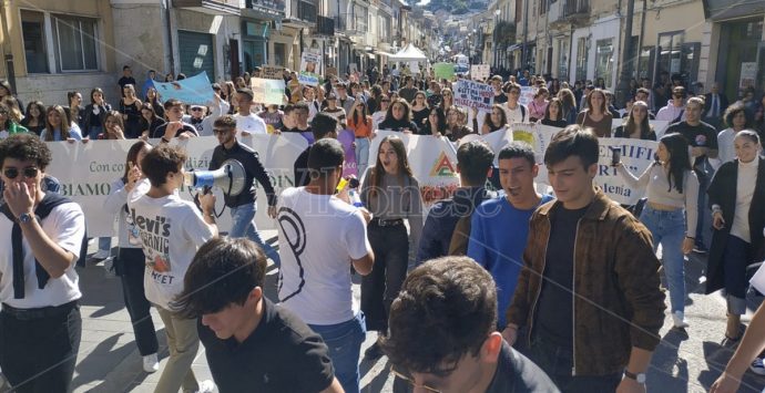 Anche gli studenti di Vibo Valentia in piazza per il Global Strike for Climate