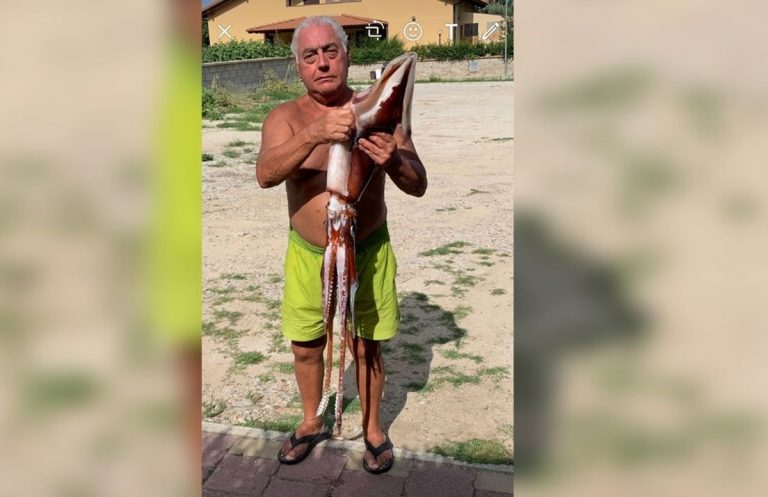Pescato in Calabria un raro esemplare di totano gigante