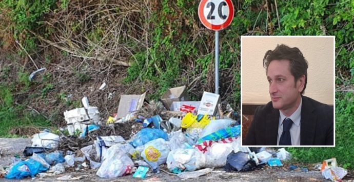 Discarica Vibo-Triparni, l’assessore Bruni richiama Solano: «Attività disattesa dalla Provincia»