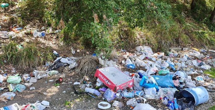 Rifiuti abbandonati per le strade di Vibo: ecco in quali arterie spetta pulire alla Provincia e perché