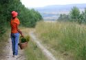 Impianto Murria, il sindaco di Briatico: «Agricoltori in difficoltà, a rischio le produzioni locali»