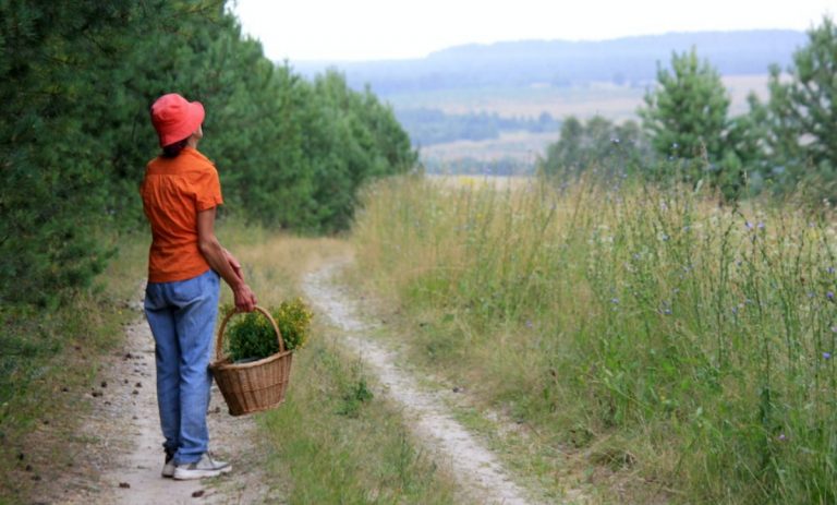 Terreni abbandonati, i Cinque Stelle propongono una legge regionale per il loro recupero