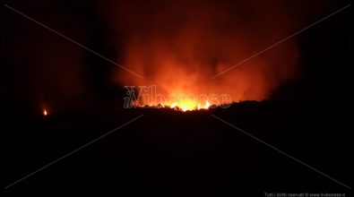 Vasto incendio sulla collina che sovrasta Santa Domenica di Ricadi – Video