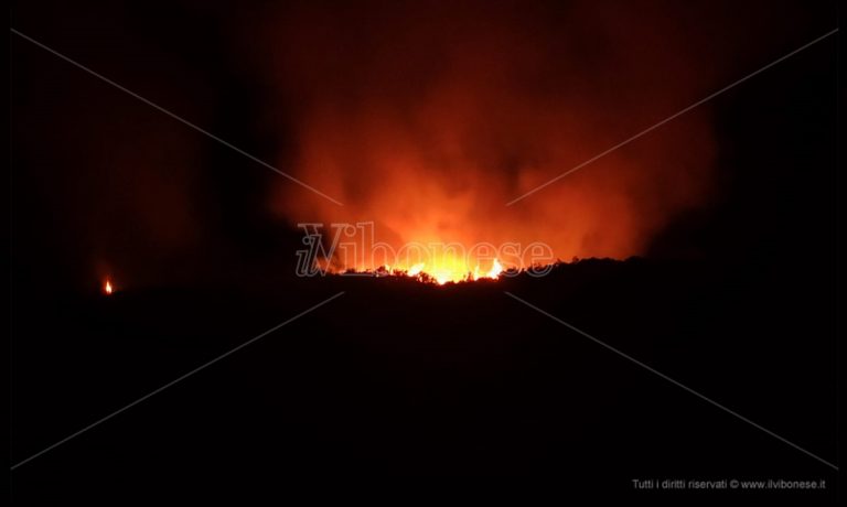 Incendi Calabria, sanzionate 27 persone: multe per un totale di 50mila euro