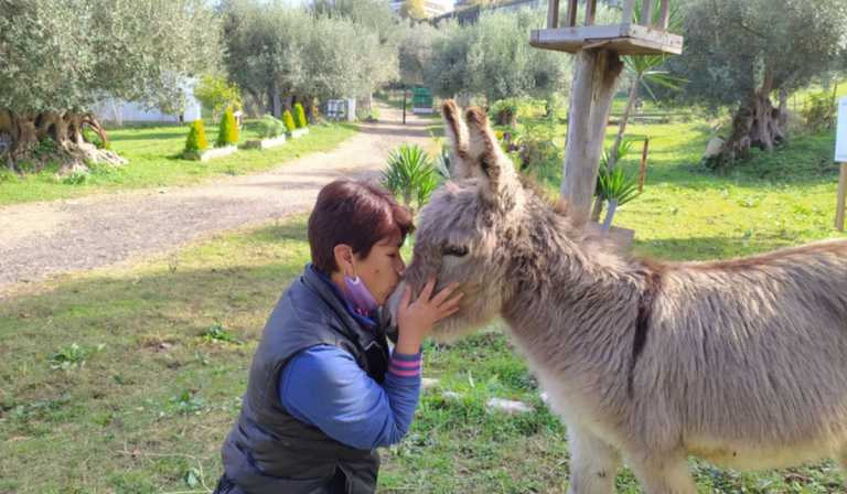 La Pet therapy per favorire i percorsi riabilitativi: a Vibo l’incontro nazionale