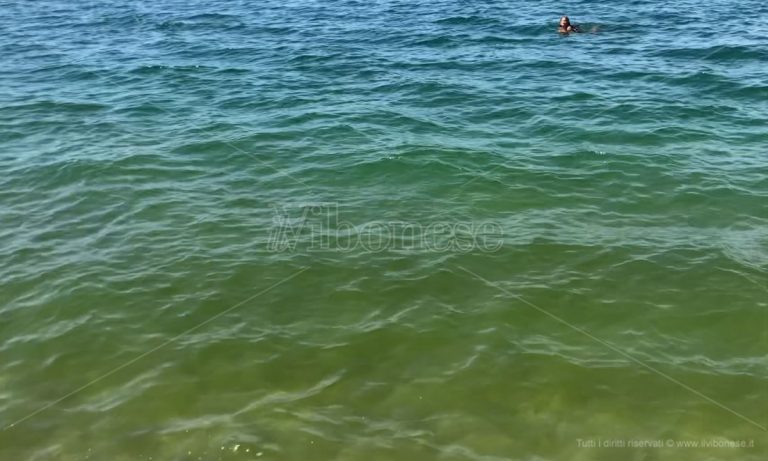 Mare sporco a Pizzo, un bagnante: «Che fine hanno fatto i controlli?» – Video