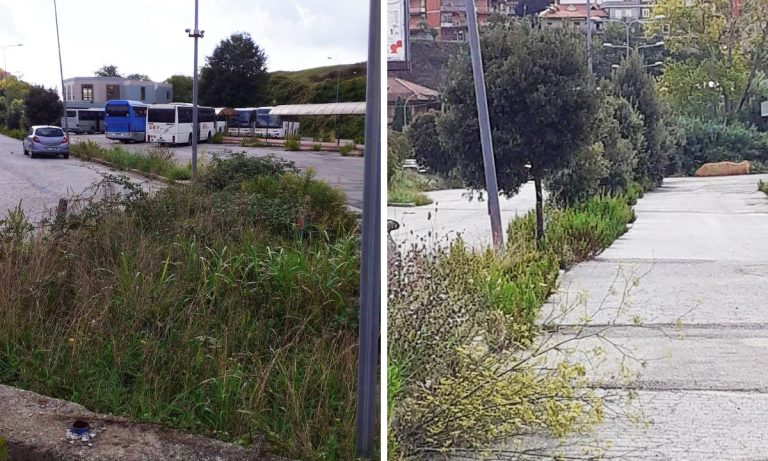 Erbacce e degrado al Terminal bus, i cittadini: «Vibo merita di più»